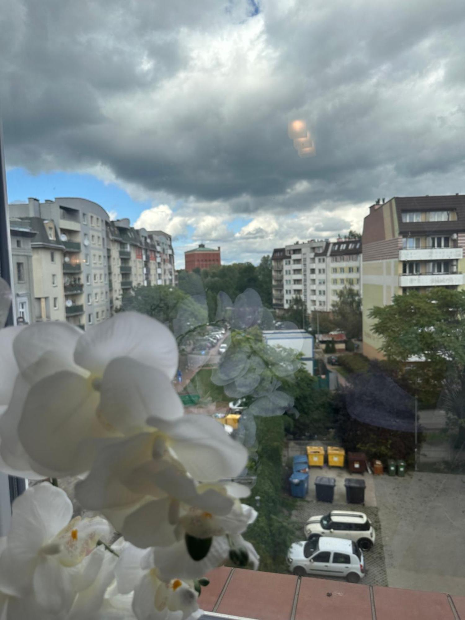 Apartament Diana - Traugutta Wrocław Exteriör bild